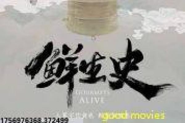 《乡里彩虹城里雨》故事讲解——农村与城市生活的差异再现