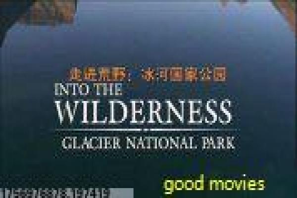 I Am Here电影情节详解,团队访谈剖析