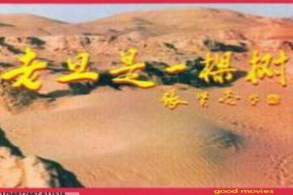 流浪地球剧情深度还原,地球流浪计划的科幻史诗
