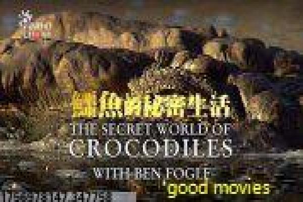 《月球旅行记》深度解析,1902科幻的月球之旅