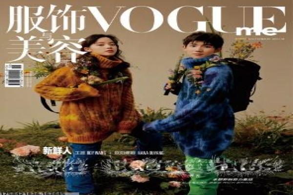 《反恐特警组 第六季》影视讲解,反恐特警组6的动作解析