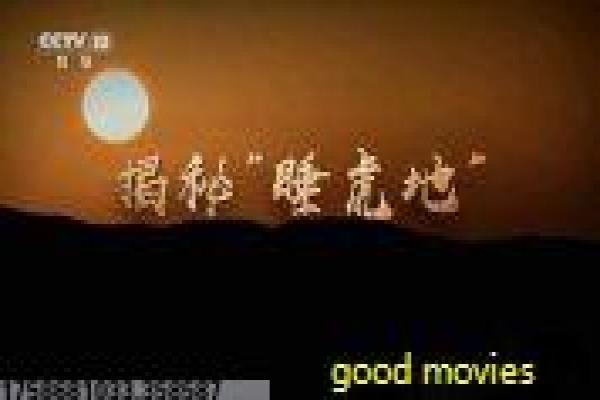 熊出没奇幻空间-熊大熊二奇幻冒险动画影片