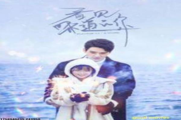 《我要车震》我要车震的都市情欲,深度解析