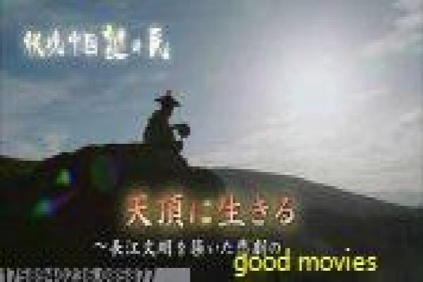 《家有仙妻》影片简介深度,仙妻家有的奇幻