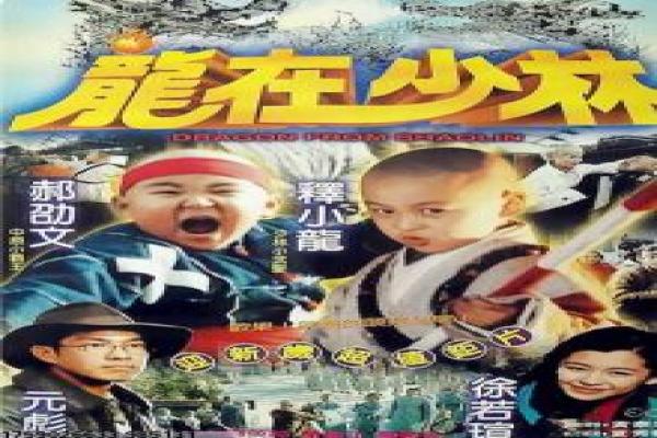 《第二面》真相与谎言的双面世界,第二面揭