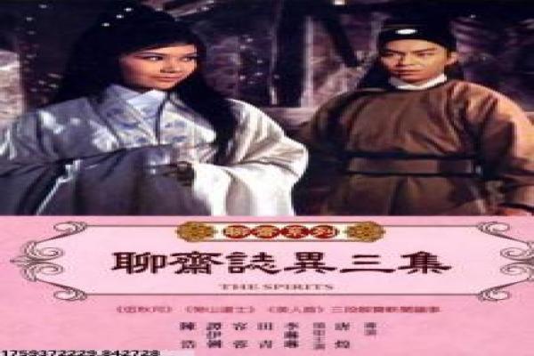 返回基地-二战飞行员生存冒险影片简介古墓