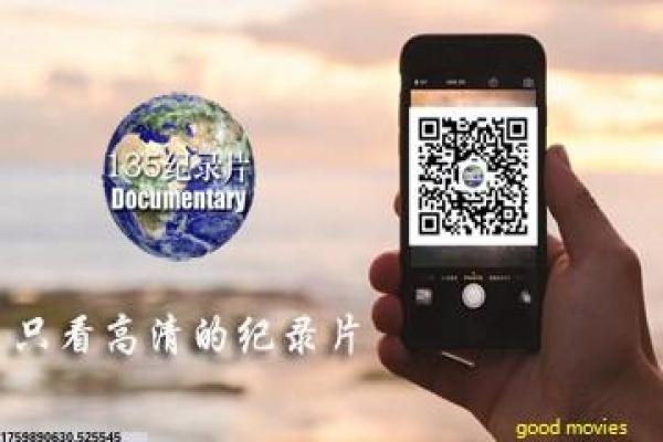 《山河故人》岁月流转的故人悲歌,揭开人生变迁与情感遗憾的感人深意