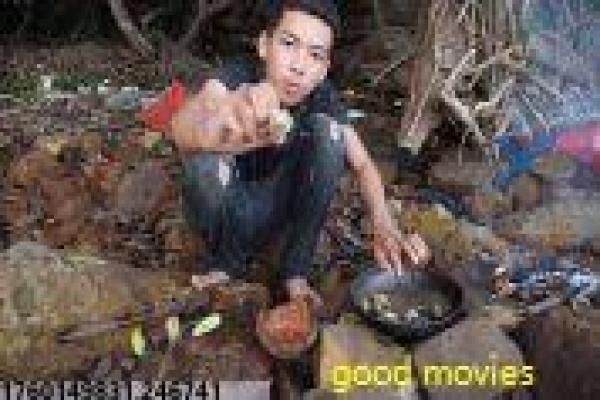 果宝特攻大电影-果宝特攻大电影英雄,大电