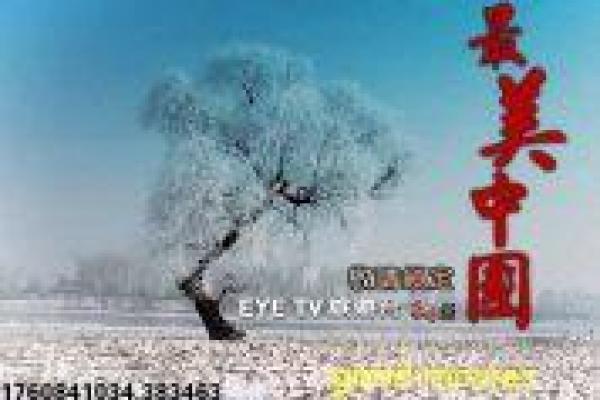 《牛市黑庄》牛市黑庄的金融阴谋,剖析国产
