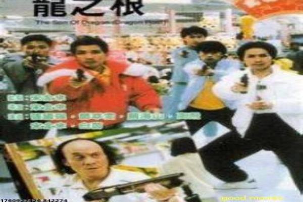 《中华英豪》中华英雄英豪的热血故事情节全
